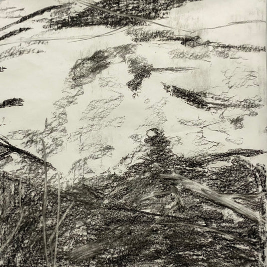 Changing terrain concept drawing, From the Chestatee River portfolio, 2021, Charcoal on paper, 24 x 24 inches.