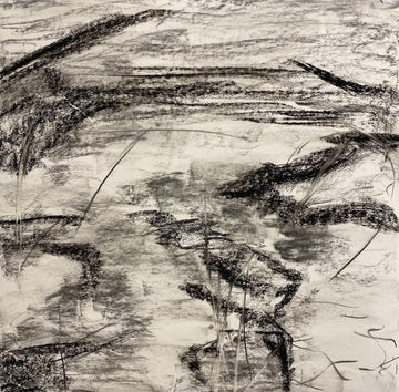 LIfe cycle concept drawing, From the Chestatee River portfolio, 2021, Charcoal on paper, 24 x 24 inches.