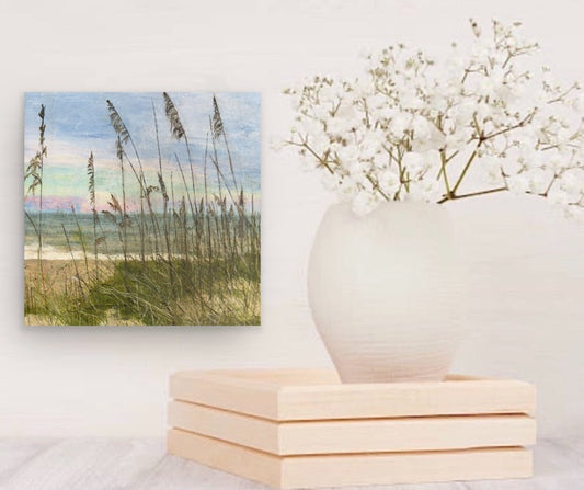 Dec 3, Stillness in Motion