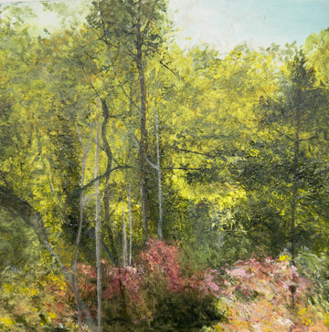 Dec 24, Awakening Forest