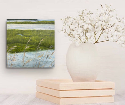 Dec 9, Breath of the Lowcountry