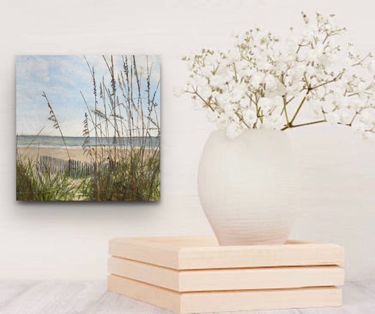 Dec 4, Guardians of the Sea