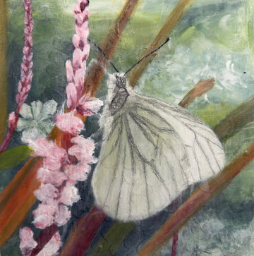 Dec 15, Petal Companion