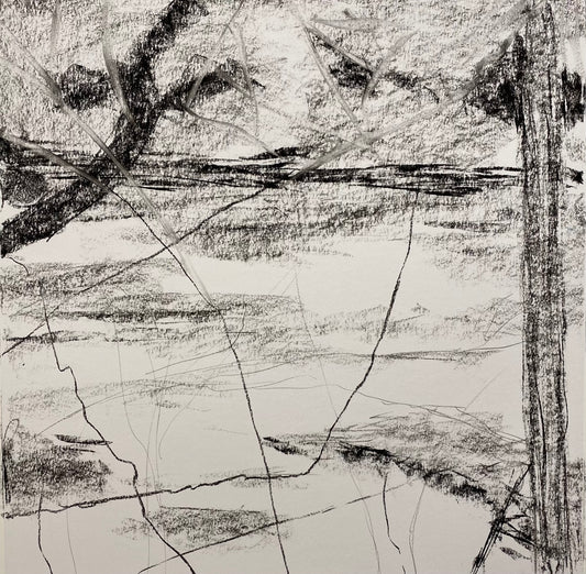 Let the fun begin concept drawing, From the Chestatee River portfolio, 2021 Charkole on paper, 16 x 16 inches