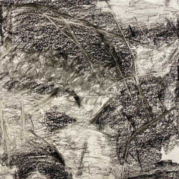Juanita Bellavance, Early morning bliss concept drawing, From the Chestatee River portfolio, 2021, Charcoal on paper, 24 x 24 inches.