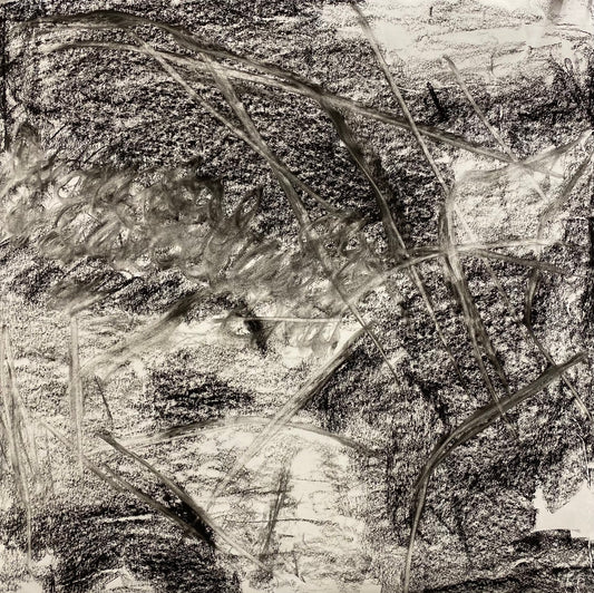 Early morning bliss concept drawing, From the Chestatee River portfolio, 2021, Charcoal on paper, 24 x 24 inches.