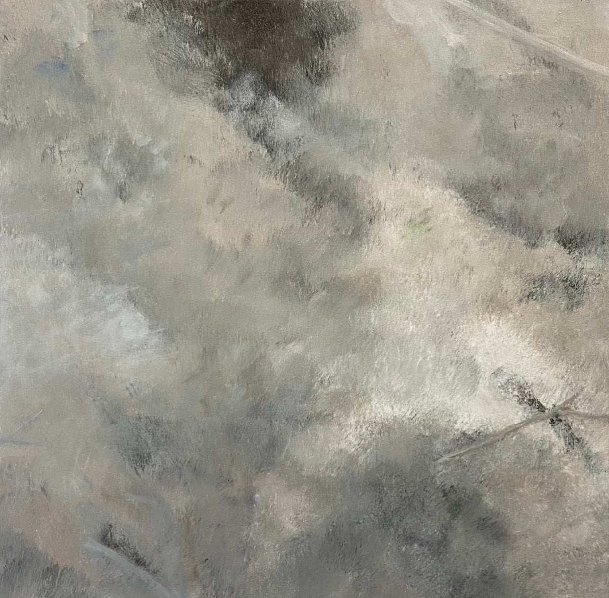 Juanita Bellavance, Some simple dirt, From the Chestatee River portfolio, 2021, Acrylic on canvas, 24 x 24 inches