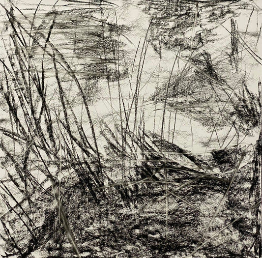 Just the way it is, From the Chestatee River portfolio, 2021, charcoal on paper, 24 x 24 inches.