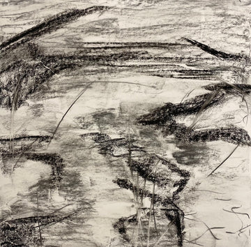 Juanita Bellavance, LIfe cycle concept drawing, From the Chestatee River portfolio, 2021, Charcoal on paper, 24 x 24 inches.