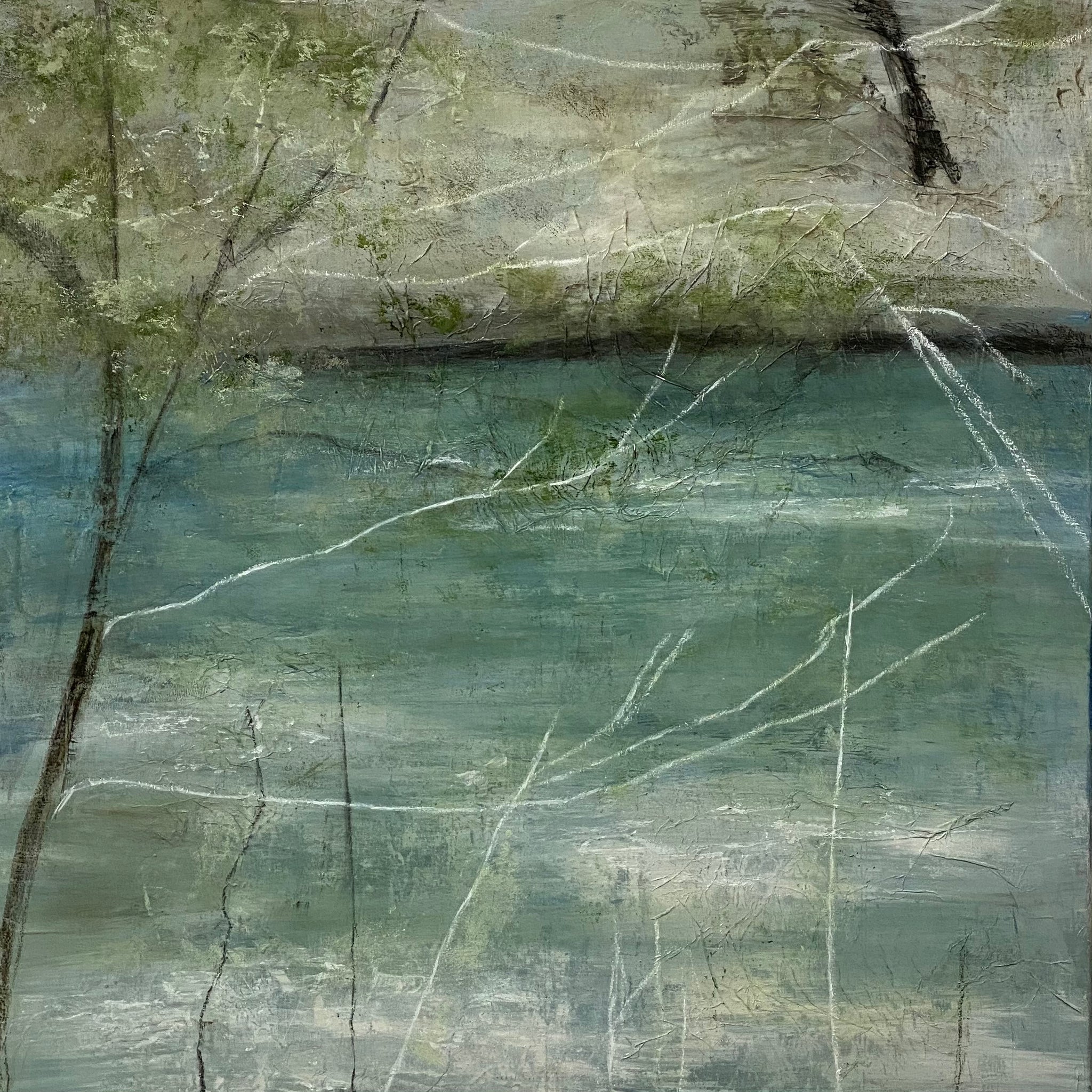 Reflective, From the Chestatee River Portfolio