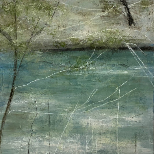 Reflective, From the Chestatee River Portfolio