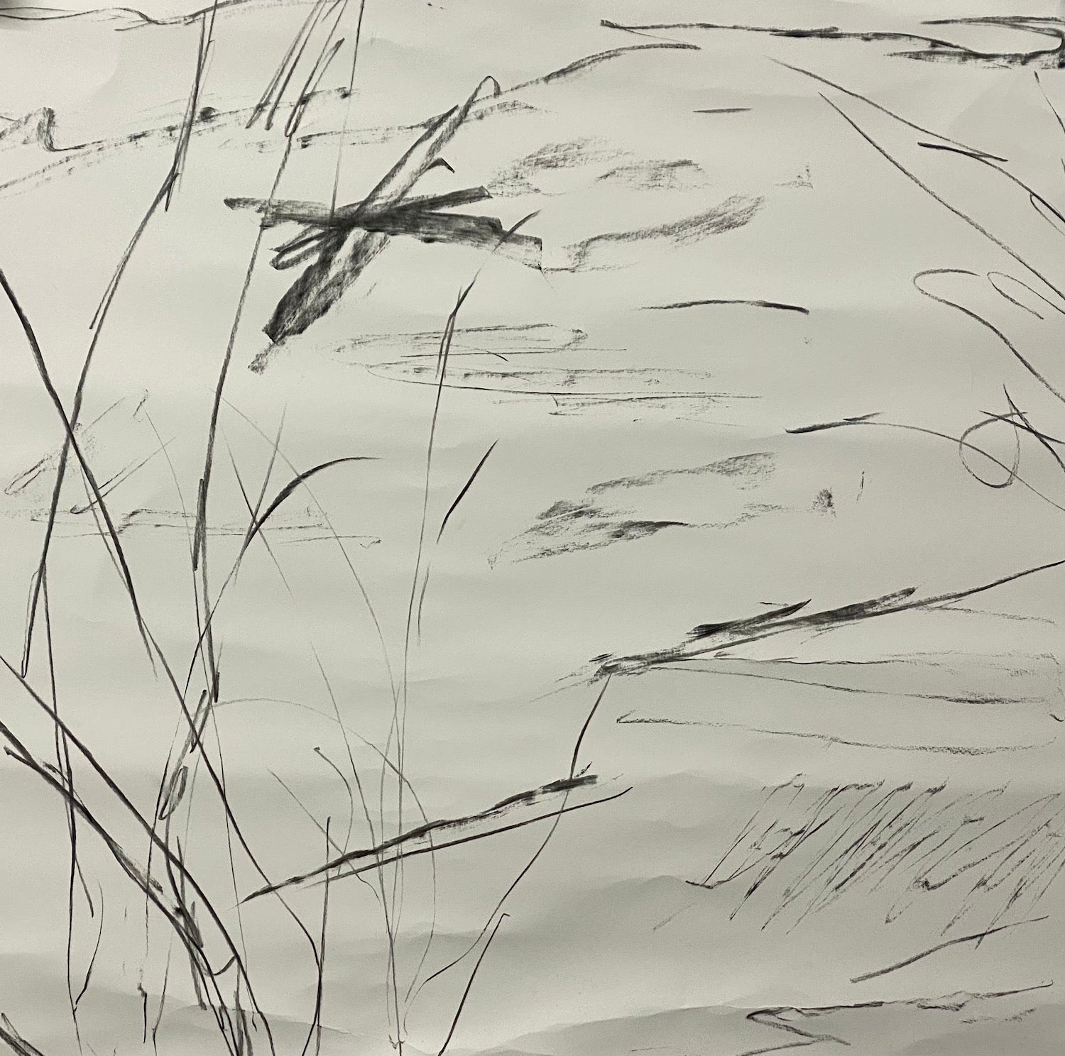 Juanita Bellavance, Pause and focus concept drawing, From the Chestatee River portfolio, 2021, Charcoal on paper, 24 x 24 inches