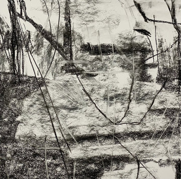 Juanita Bellavance, Entanglement concept drawing, From the Chestatee River portfolio, 2021, Charcoal on paper, 24 x 24 inches