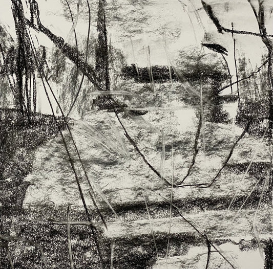 Entanglement concept drawing, From the Chestatee River portfolio, 2021, Charcoal on paper, 24 x 24 inches