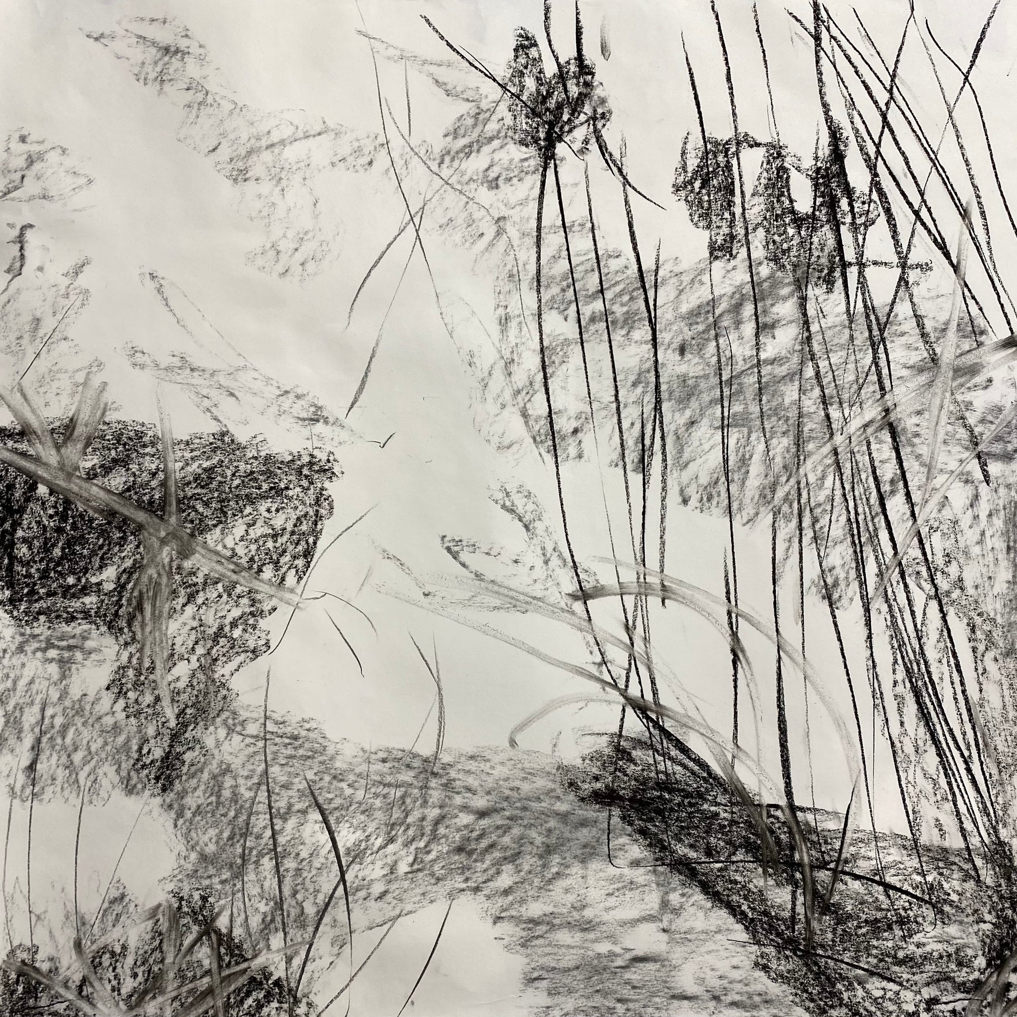Juanita Bellavance, Spring joy concept drawing, From the Chestatee River portfolio, 2021, Charcoal on paper, 24 x 24 inches
