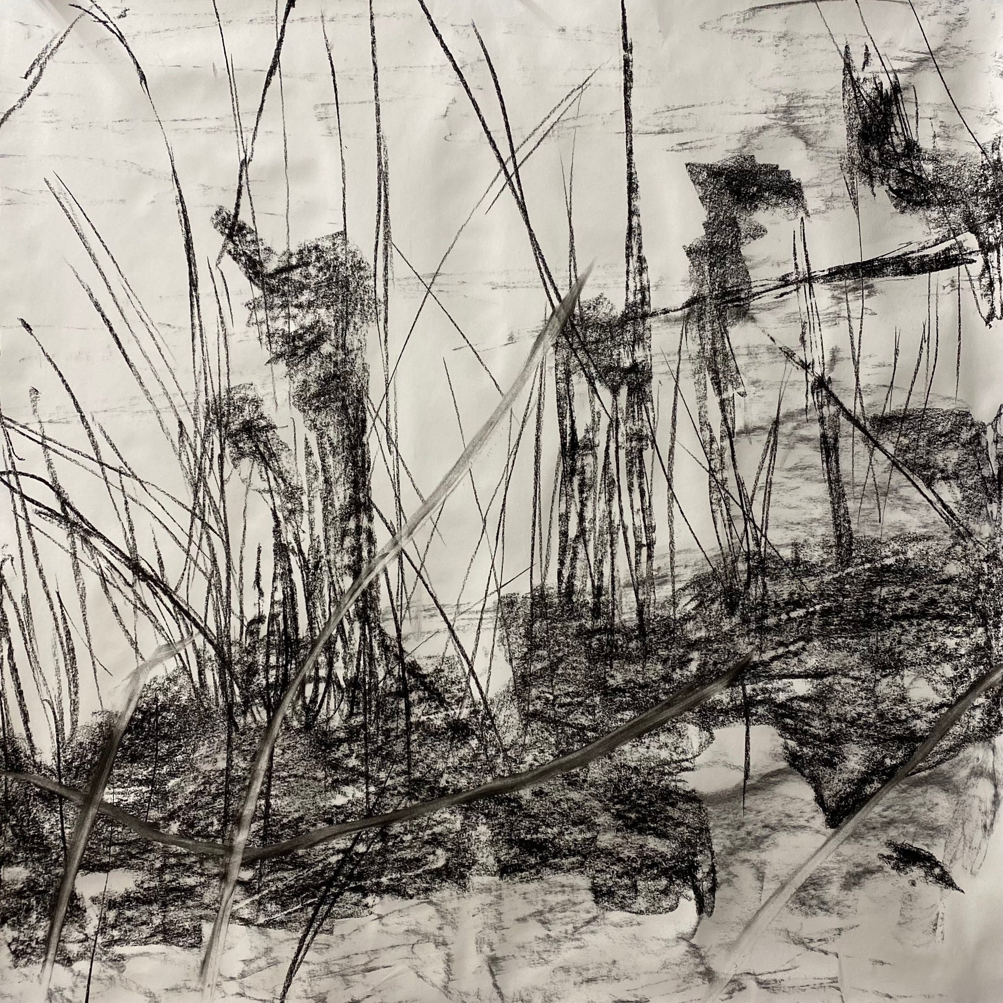 Juanita Bellavance, Fullness of life concept drawing, From the Chestatee River Perspective, 2021, Charcoal on paper, 24 x 24 inches
