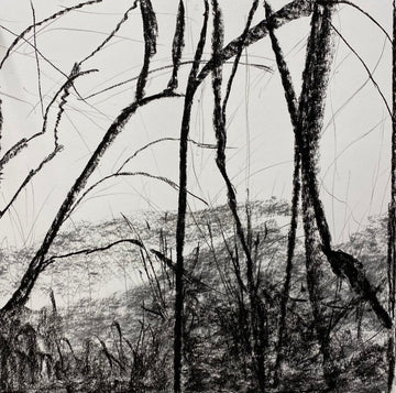Juanita Bellavance, The setting sun concept drawing, From the Chestatee River portfolio, Charcoal on paper, 24 x 24 inches