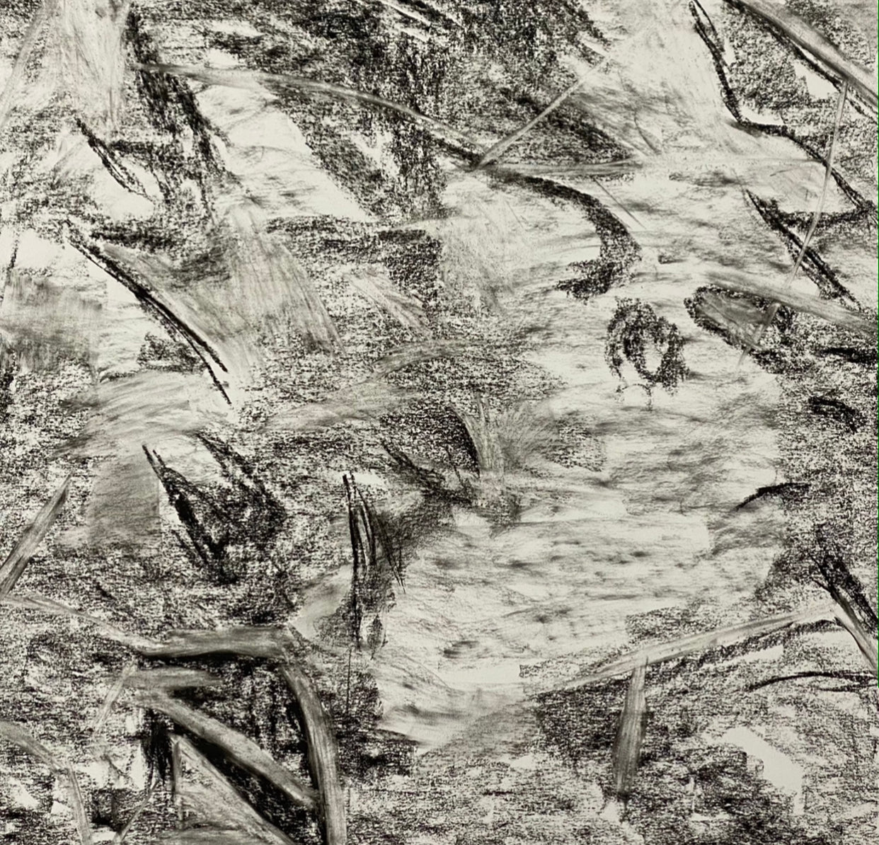 Juanita Bellavance, Some simple dirt concept drawing, From the Chestatee River portfolio, 2021, Charcoal on paper, 24 x 24 inches.