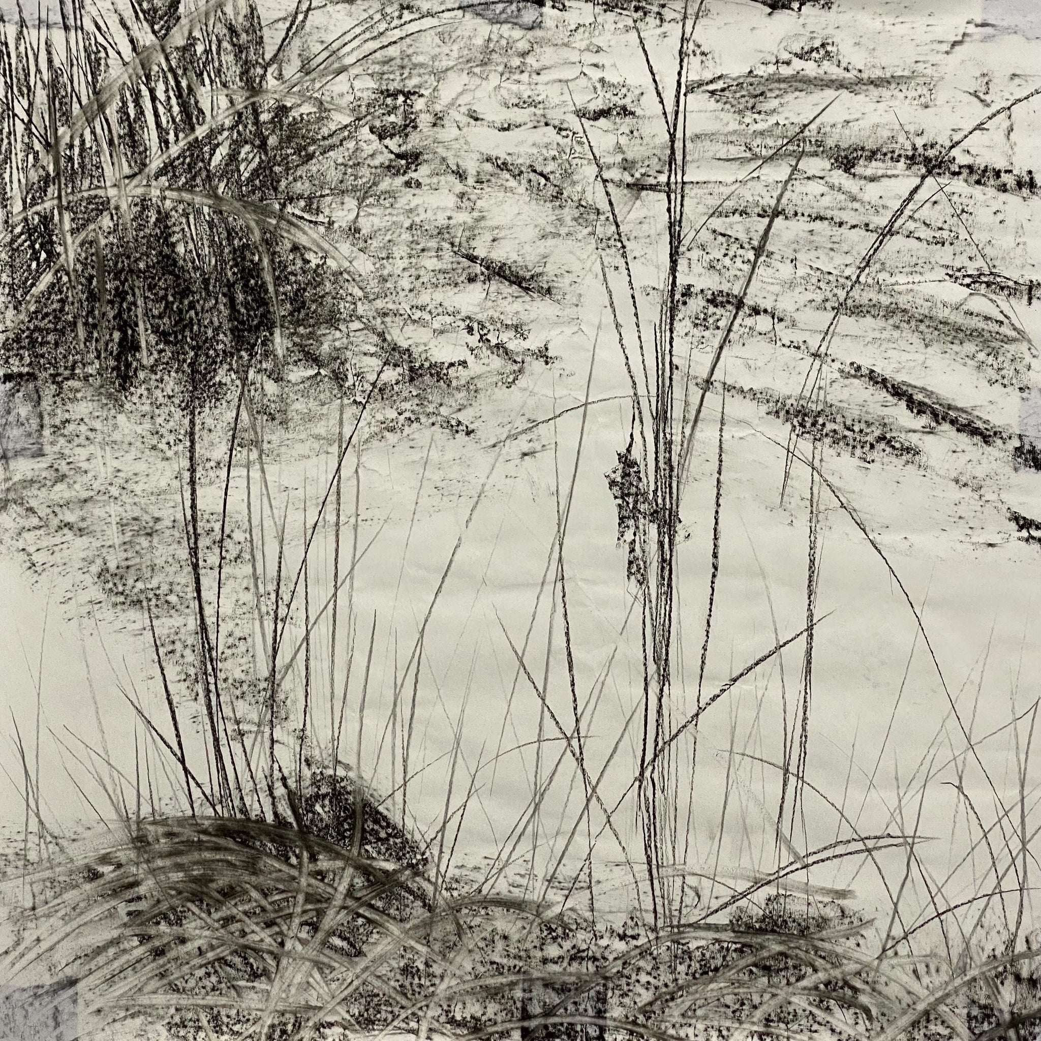 Juanita Bellavance, Caught up in grasses concept drawing, From the Chestatee River portfolio, 2021, Charcoal on paper, 24 x 24 inches.