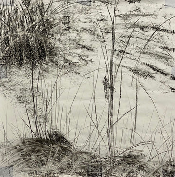 Juanita Bellavance, Caught up in grasses concept drawing, From the Chestatee River portfolio, 2021, Charcoal on paper, 24 x 24 inches.
