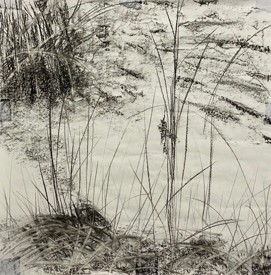 Caught up in grasses concept drawing, From the Chestatee River portfolio, 2021, Charcoal on paper, 24 x 24 inches.