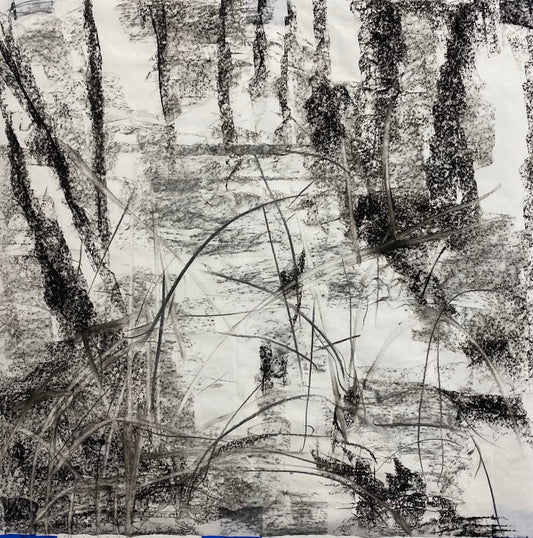 Juanita Bellavance, White on white concept drawing, From the Chestatee River portfolio, 2021, Charcoal on paper, 24 x 24 inches.