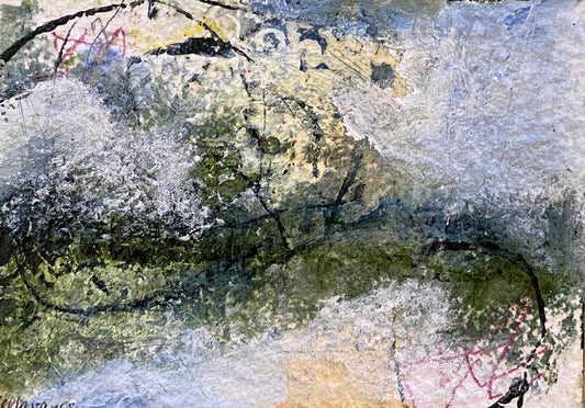 nature’s serenade 14