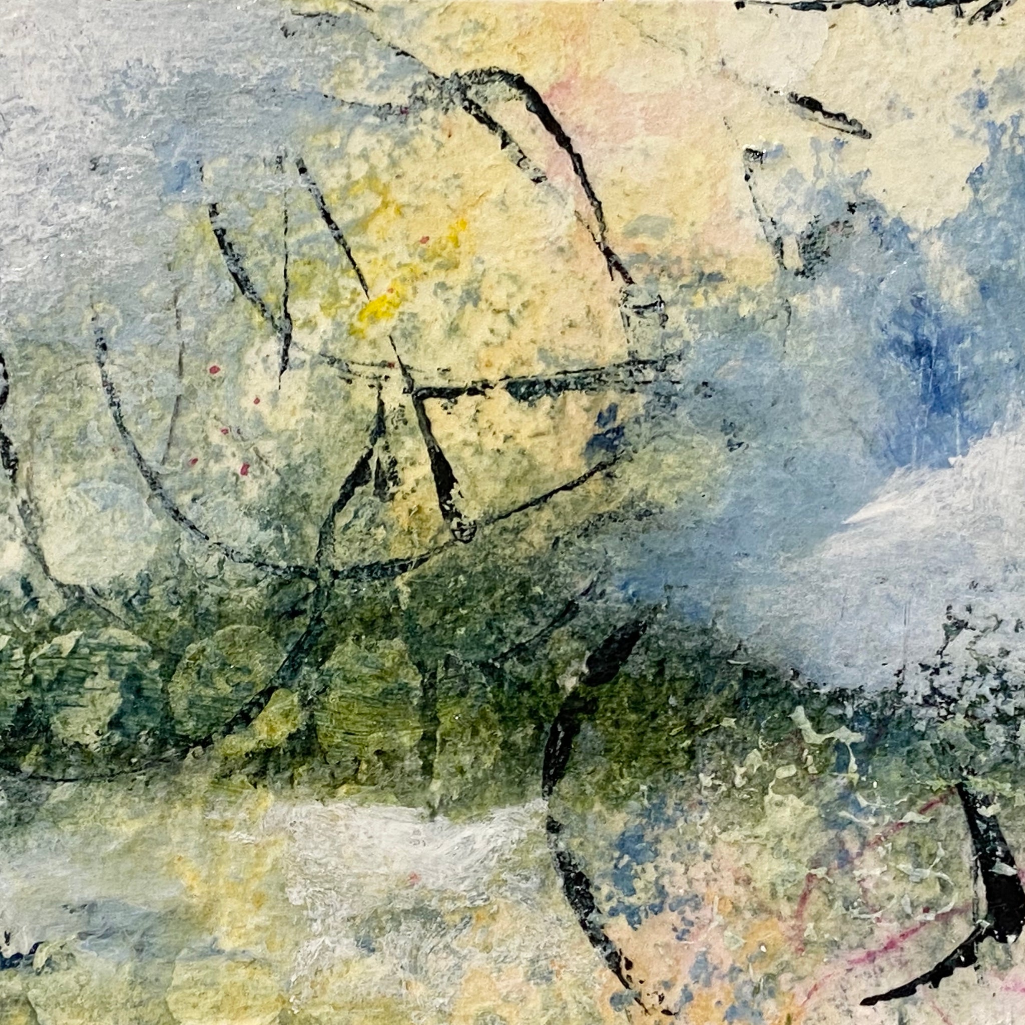 nature's serenade 1